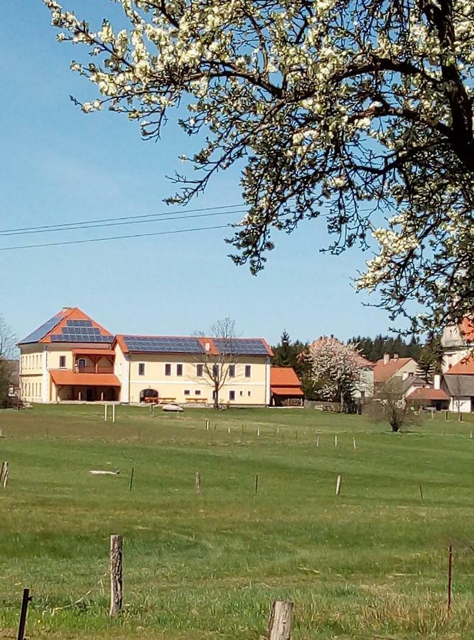 Penzion Hůrky Nová Bystřice Exterior foto